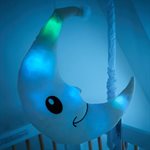 Kokoons Son Et Lumiere Lune