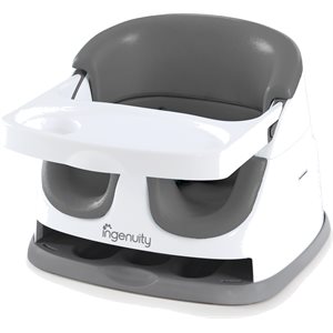 Ingenuity Baby Base 2 In 1 Slate