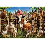 Casse-Tete 500 Pieces, La Ferme
