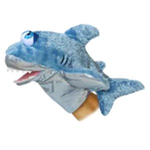 Requin 11