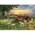 Puzzle 1000 Pcs Field At Sunrise