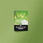 Livre A Colorier Et A Jouer - Dino Amis