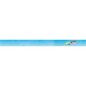 Playmobil Color: Dressage De Chiens