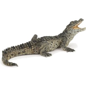 Baby Crocodile Green