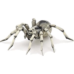 Tarantula Green