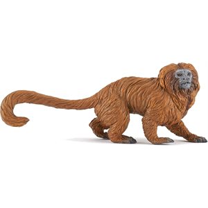 Golden Lion Tamarin Red