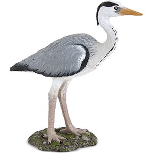 Grey Heron Green