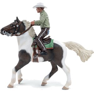 Cowboy And His Horse