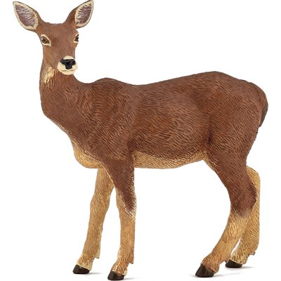 Doe Green