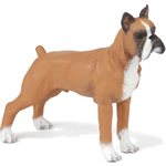 Boxer Red