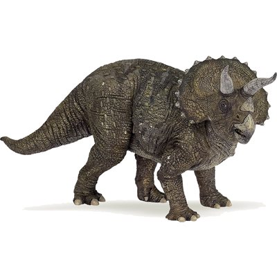 Triceratops
