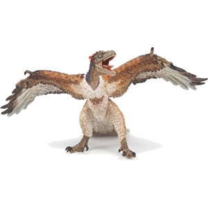 Archeopteryx