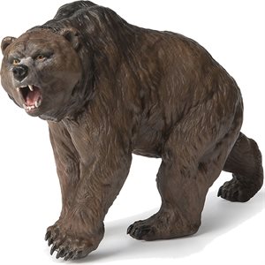 Cave Bear