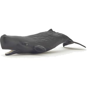 Sperm Whale Calf Green