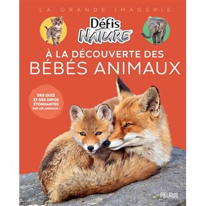 A La Decouverte Des Bebes Animaux