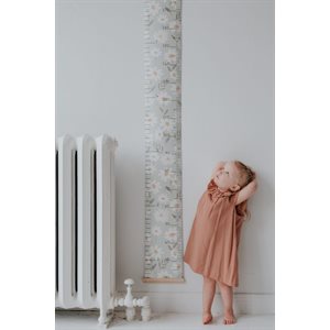 Echelle De Croissance, Marguerite Sur Fond Vert