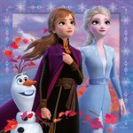 Casse-Tete Frozen: Le Voyage Commence 3x49 Mcx