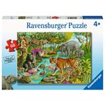 Animals Of India 60 Pc Puzzle