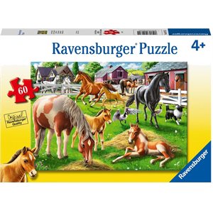Casse-Tete Chevaux Heureux 60 Mcx