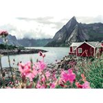Casse-Tete Lofoten 1000 Mcx