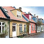 Casse-Tete Aarhus 1000 Mcx