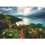 Casse-Tete Hawaii 1000 Mcx