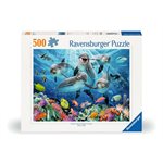 Dolphins In The Coral Reef 500 Pc Puzzle Dolphins In The Coral Reef 500 Pc Puzzle