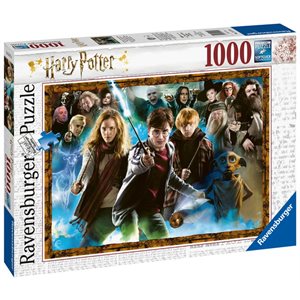 Casse-Tete Harry Potter Et Les Sorciers De
