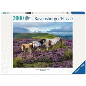 Puzzle Wild Horses In The Heather 2000 Pcs