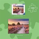 Casse-Tete Voie Rose 1000 Mcx