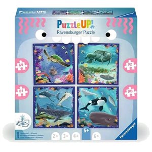Casse-Tete Up! 5 Ans Animaux Marins