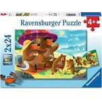 Casse-Tete Bear Family Vacations 2x24 Mcx