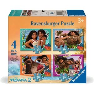 Casse-Tete Asst Disney Moana 12 16 20 24 Mc