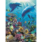Casse-Tete Monde Sous-Marin 300 Mcx