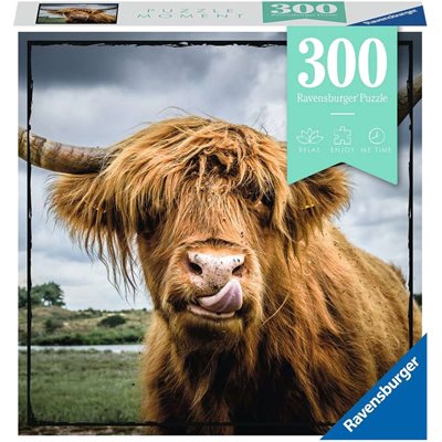 Casse-Tete Moments: Bovins Des Highlands 30