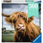 Casse-Tete Moments: Bovins Des Highlands 30