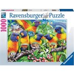 Casse-Tete Land Of The Lorikeet 1000 Mcx