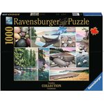 Puzzle Tranquillite De La Cote Ouest 1000 Mcx
