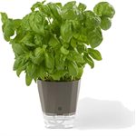 Pot Pour Fines Herbes A Auto Arrosage