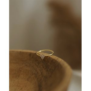 Bague Splendeur- Vermeil Gr9