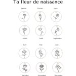 Chaine De Naissance Fleur Mai Argent