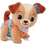 Toutou 1,2,3 Suis-Moi (FR)